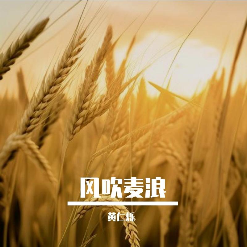 风吹麦浪封面