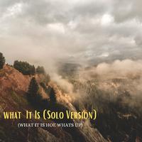 What It Is (What It Is hoe? Whats up?) [Solo Version]
