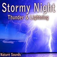 Stormy Night: Thunder and Lightning (Nature Sounds)