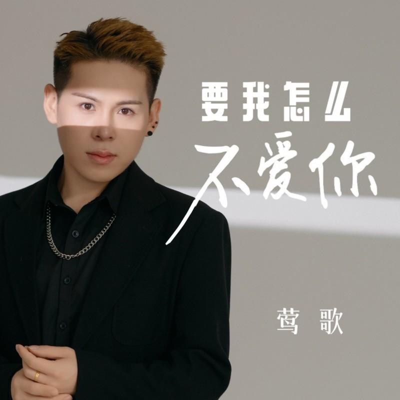 放手是最好结局 (DJ 阿若版)封面