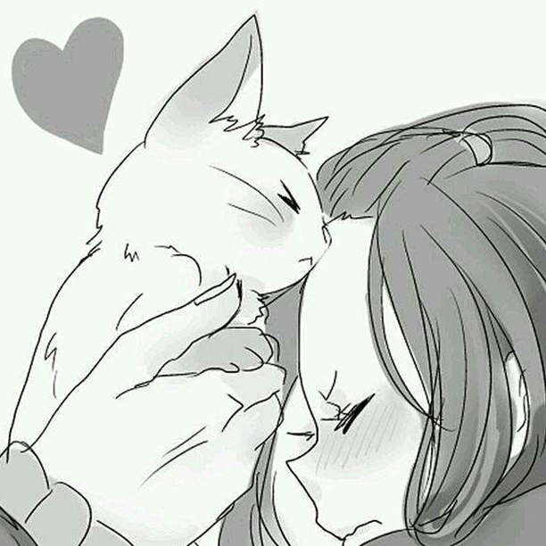 如果可以就养只猫吧