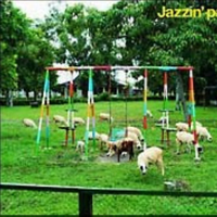 Jazzin' park