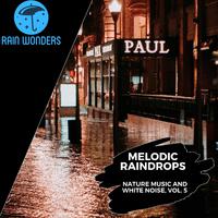 Melodic Raindrops - Nature Music and White Noise, Vol. 5