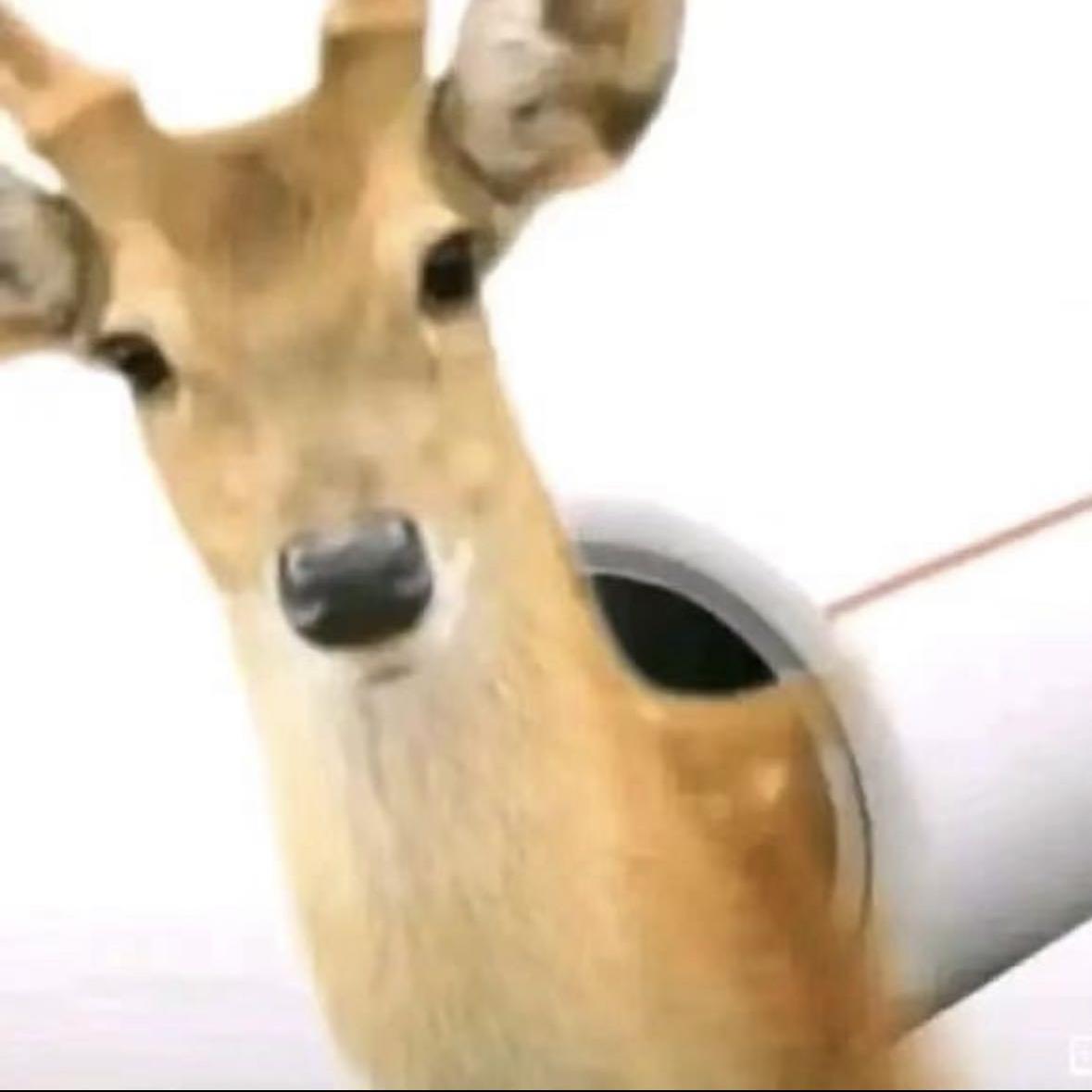 戒色先锋汉尼拔