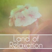 Land of Relaxation – Soothing Music for Spa, Wellness, Deep Sleep, Calming Therapy, Pure Massage, Healing Music