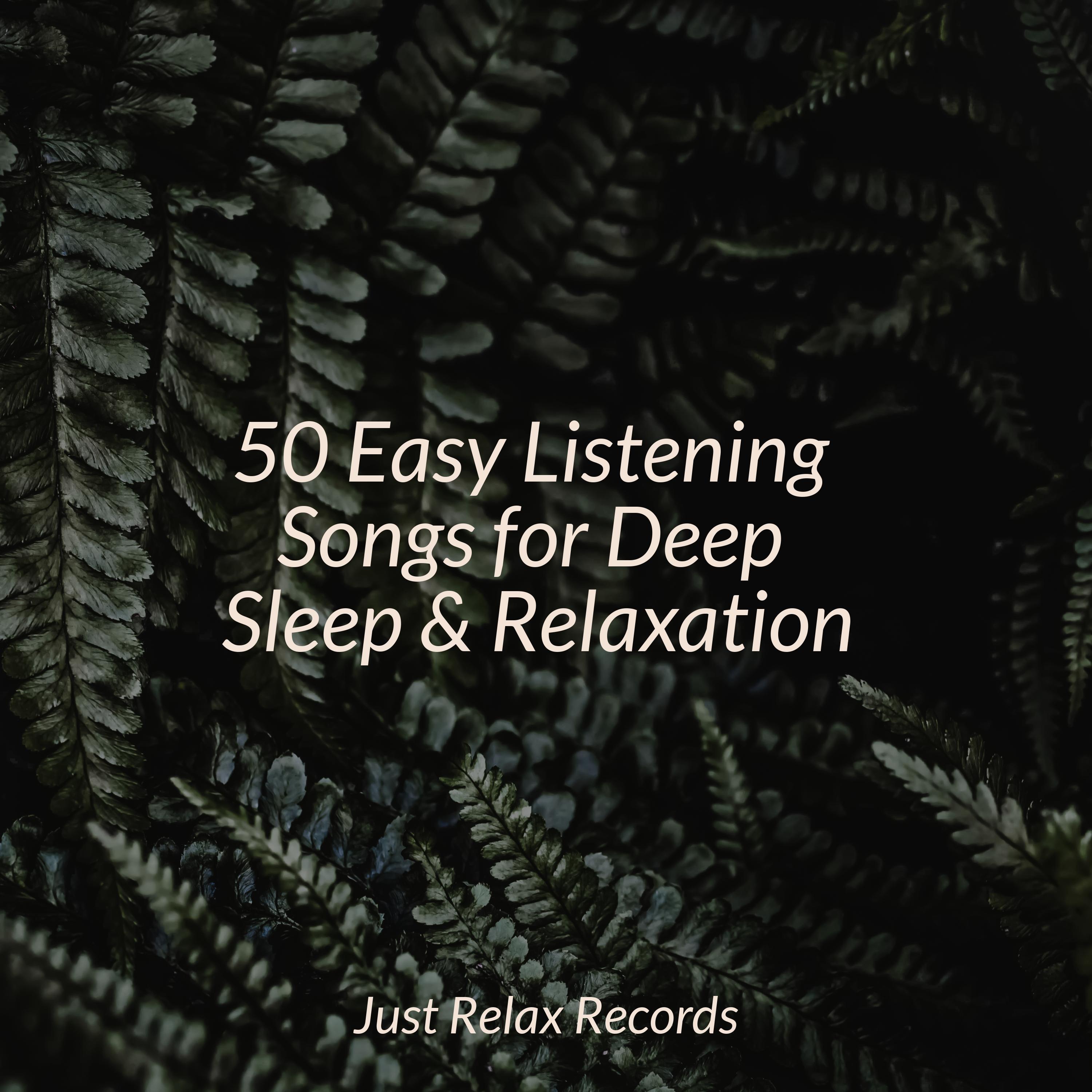 Sparkling Dusk Dream Música para Meditar y Relajarse/Calming Sounds/Relajacion Del Mar 单曲