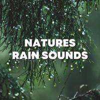 Natures Rain Sounds