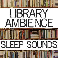 Library Ambience