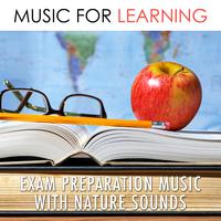 Music for Learning - Exam Preparation Music with Nature Sounds to Improve Concentration and Focus for your Homework with a Mix of Relaxing Musical Instruments (Piano, Pan Flute, Shakuhachi Flute, Ocarina) to Set a Positive Atmosphere