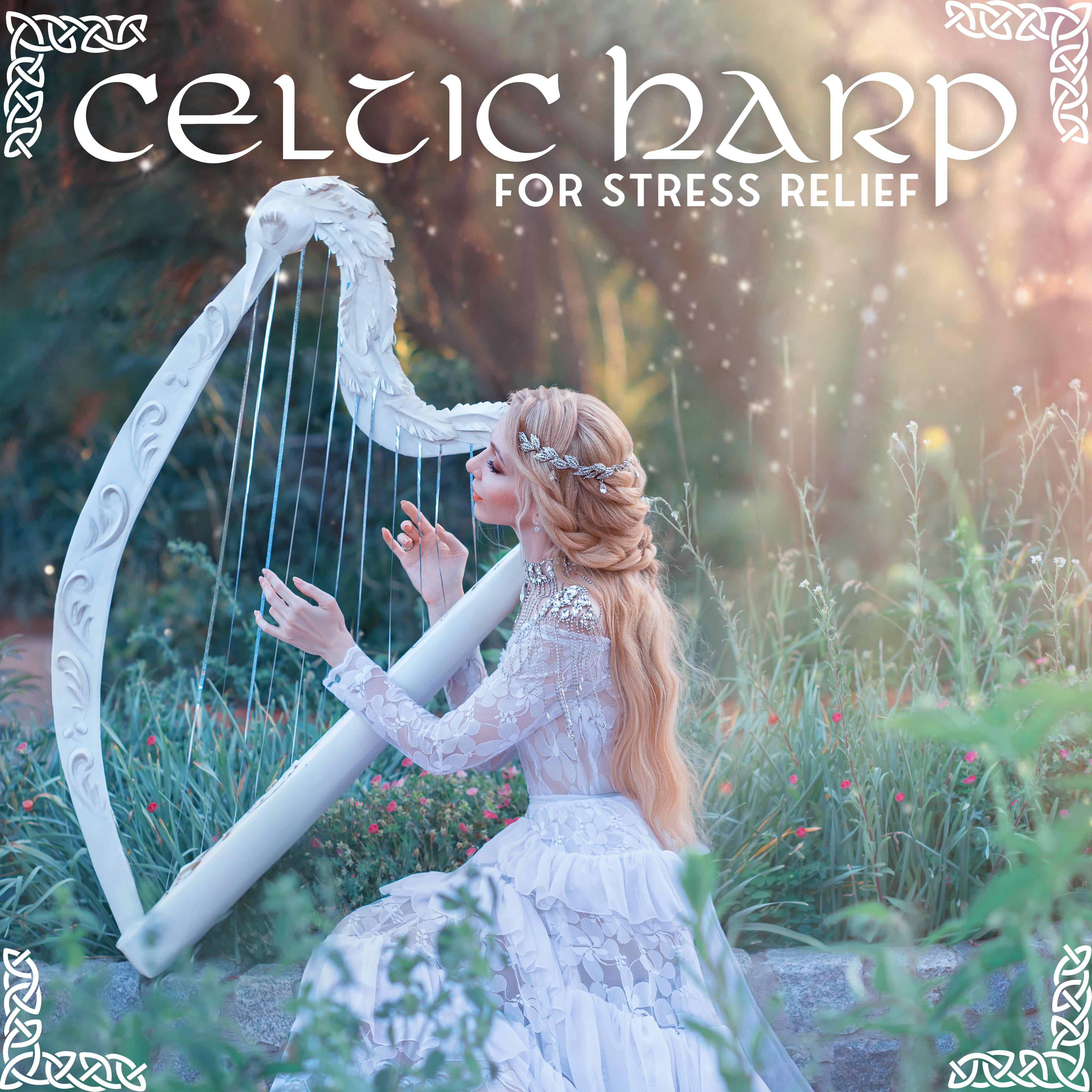 Nature For Relaxation Celtic Chillout Relaxation Academyrelieve Stress Music Academy 单曲 网易云音乐 