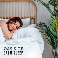 Oasis of Calm Sleep: Calming Music for Sleep, Wonderful Dreams