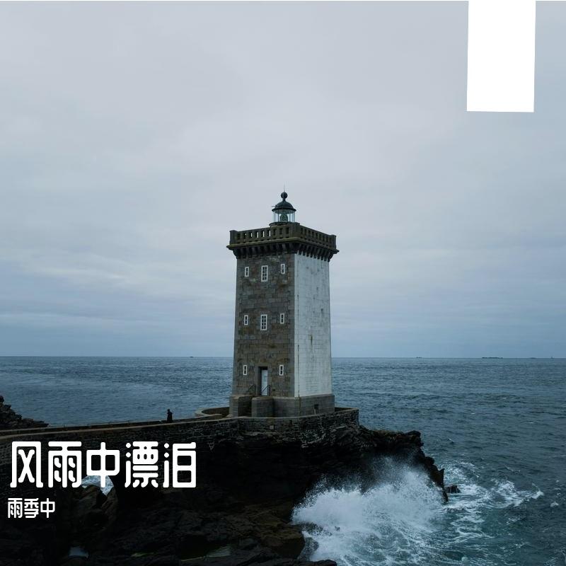 残雪东流 伴奏封面