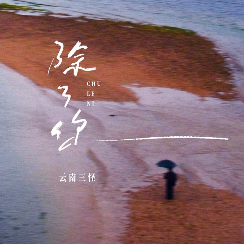 除了你 (温柔版伴奏) - 云南三怪封面