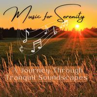 Music for Serenity: A Journey Through Tranquil Soundscapes