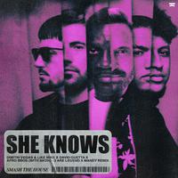 She Knows (3 Are Legend x Mandy Remix)