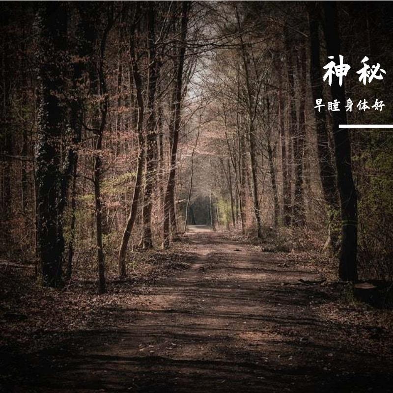 RE - 早睡身体好封面