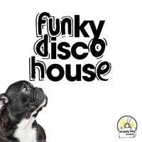 Funky Disco House