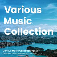 Various Music Collection Vol.12 -Selected & Music-Published by Audiostock-