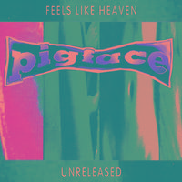 Feels Like Heaven...Sounds Like ****! - Unreleased