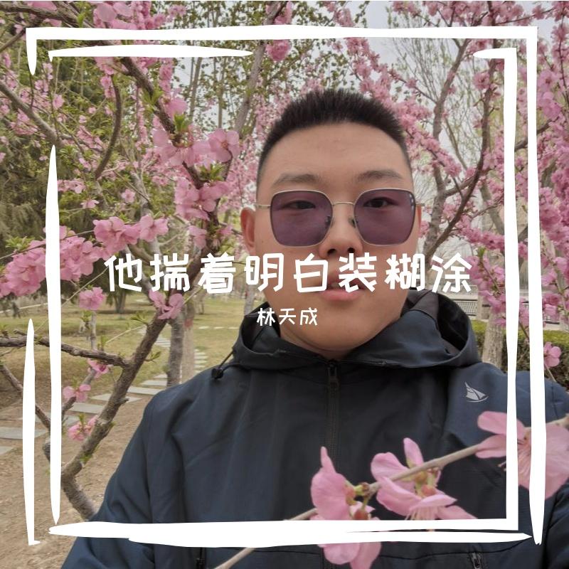 他揣着明白装糊涂封面