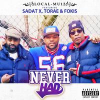 Never Had (feat. Sadat X, Torae & Fokis)