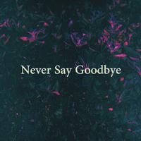 Never Say Goodbye