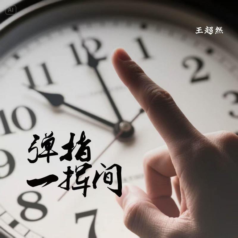 弹指一挥间封面