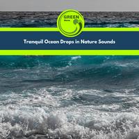 Tranquil Ocean Drops in Nature Sounds