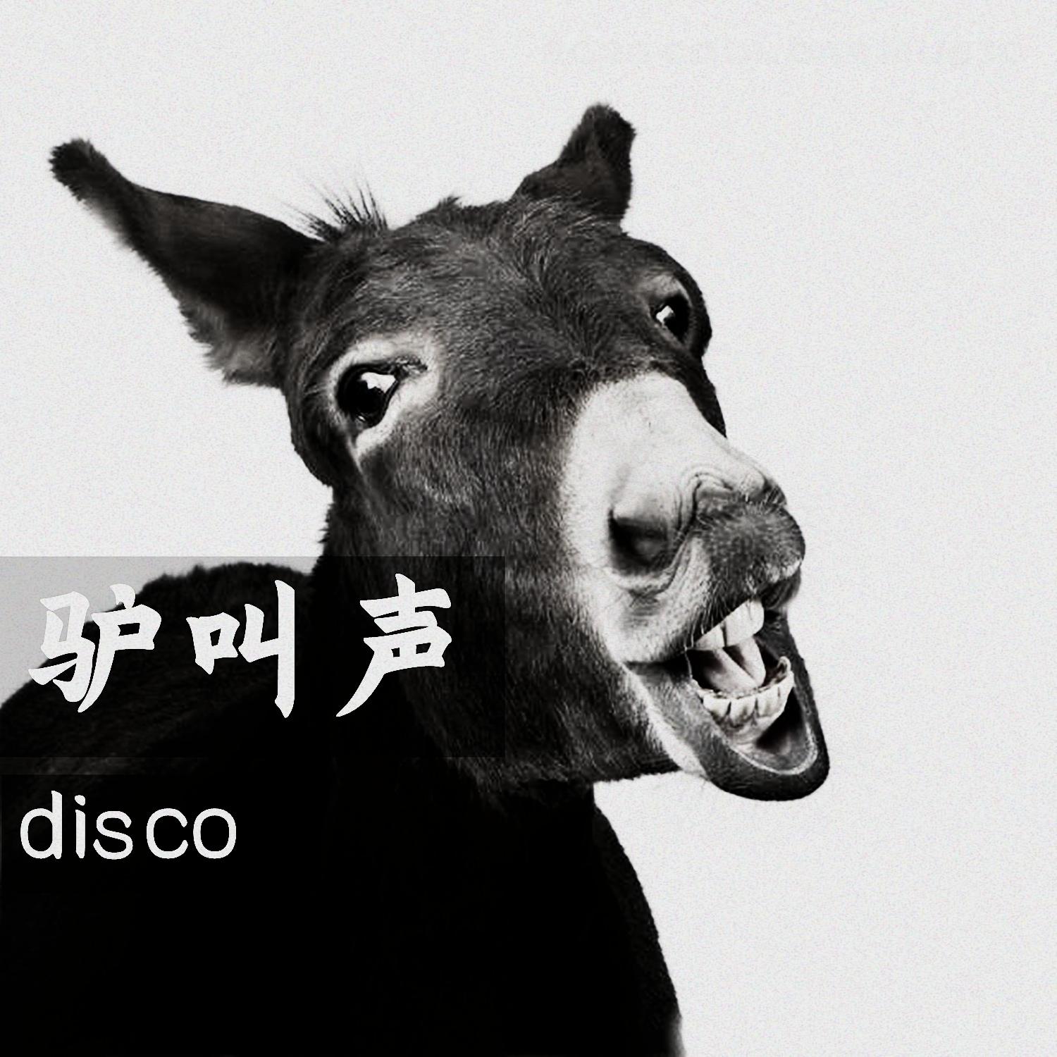 驴叫声 (Disco)封面