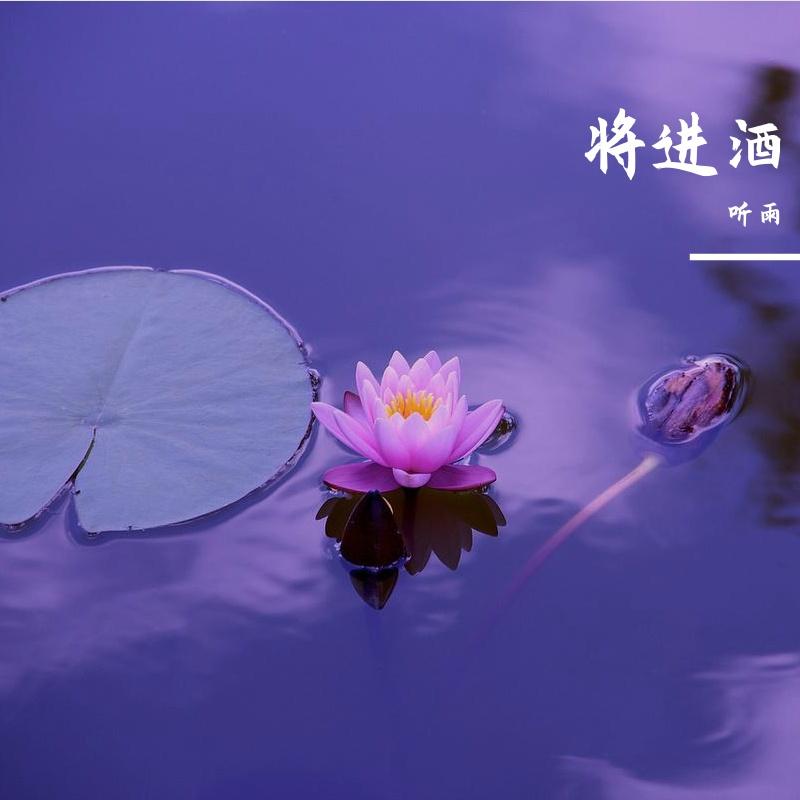 时间的海 - 听雨林峯封面
