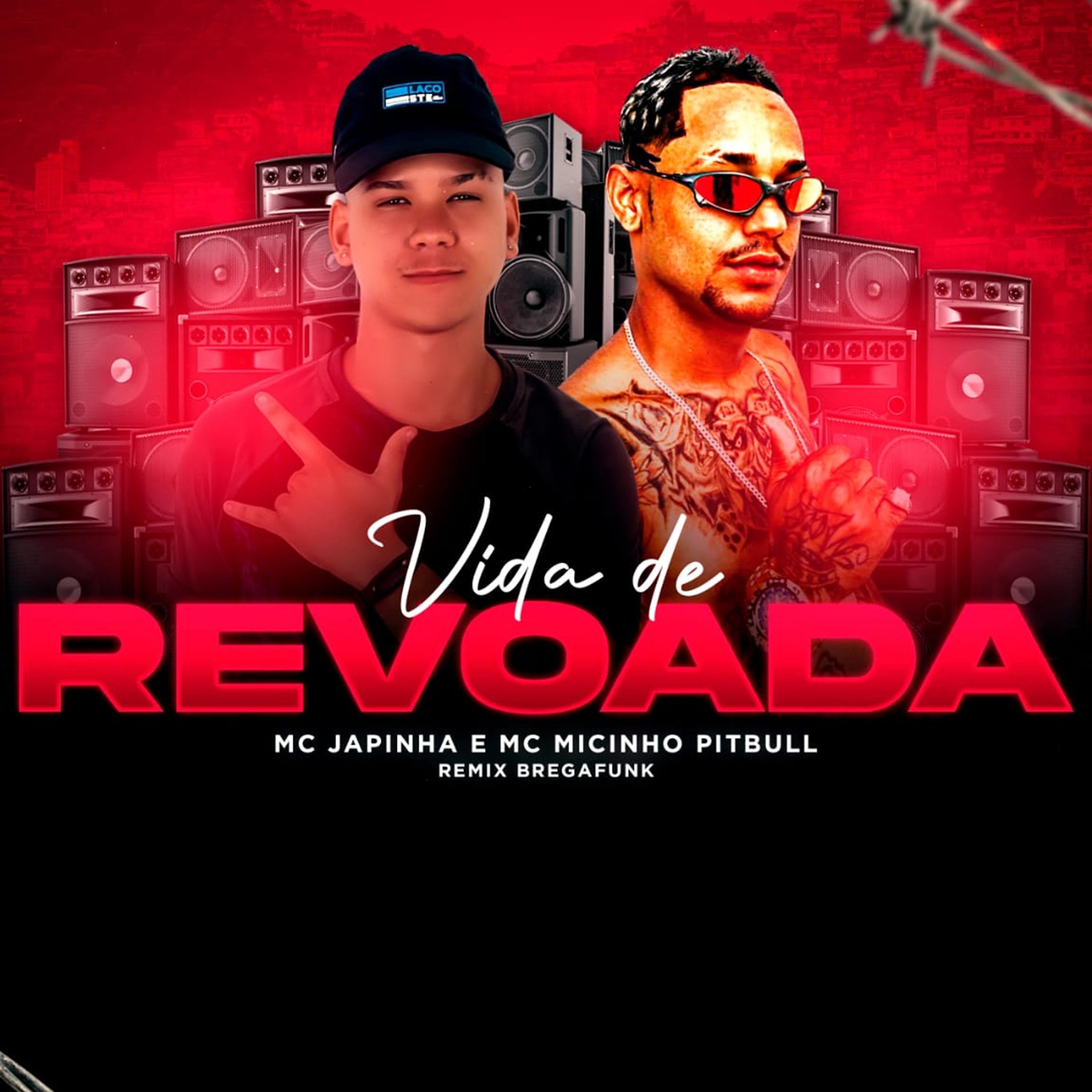 Vida de Revoada (Remix Bregafunk)