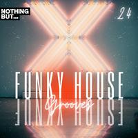 House Grooves, Vol. 24