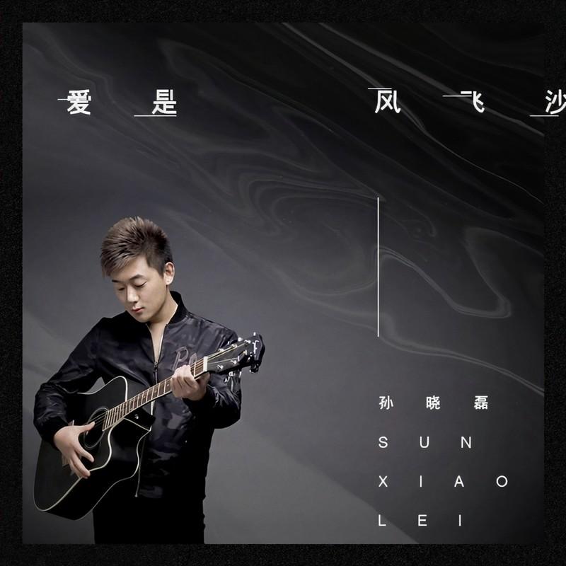 爱是风飞沙 (DJR7版)封面