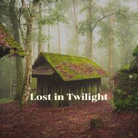 Lost in Twilight