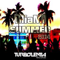 Miami Summer 2014