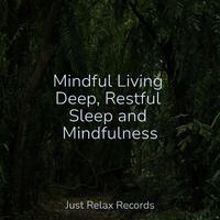 Mindful Living Deep, Restful Sleep and Mindfulness