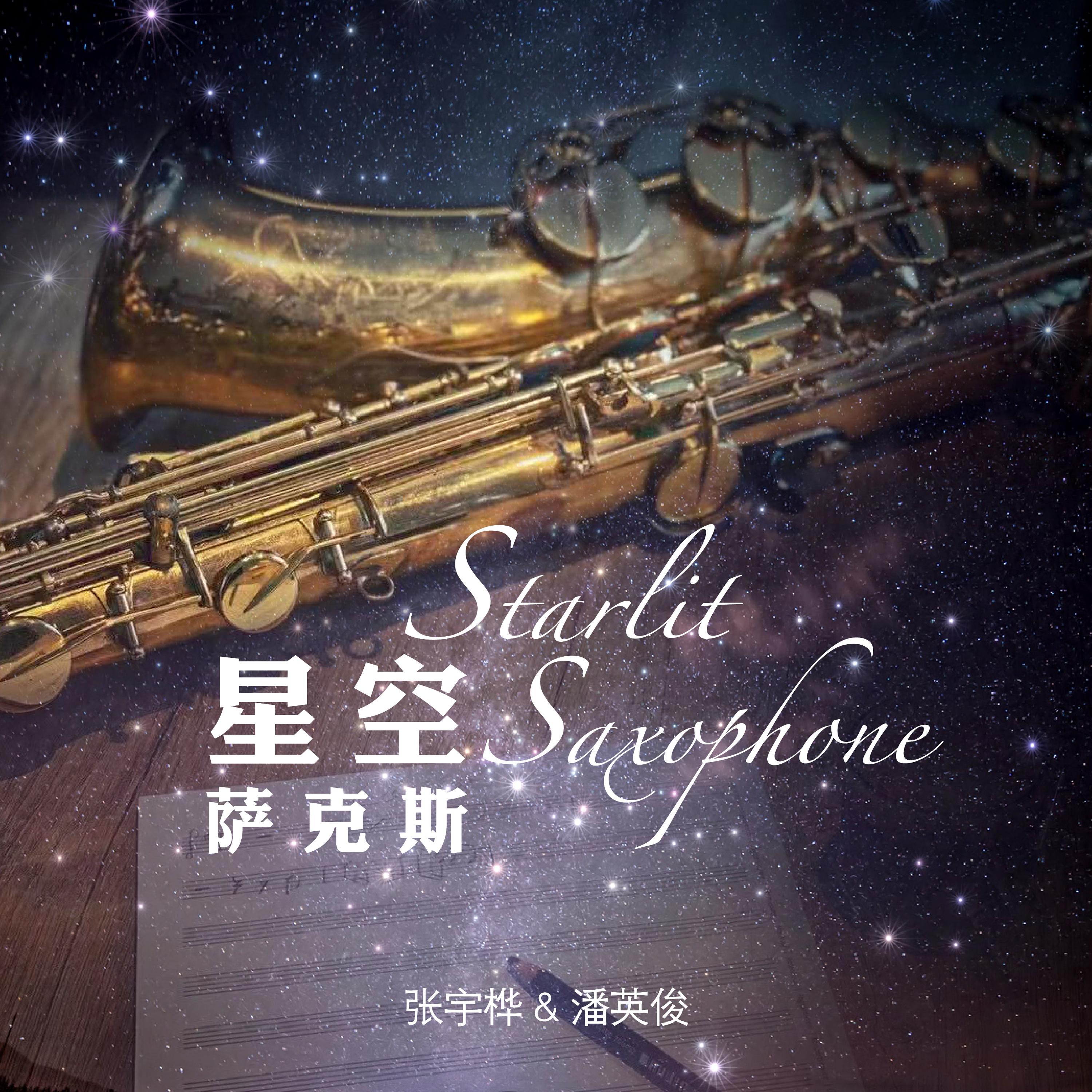 雨天之美 (萨克斯) - 张宇桦、潘英俊封面