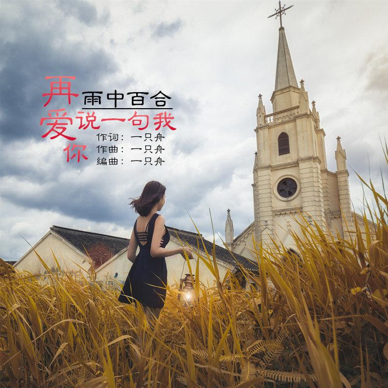 再说一句我爱你 (伴奏)封面
