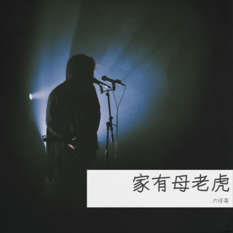 家有母老虎封面