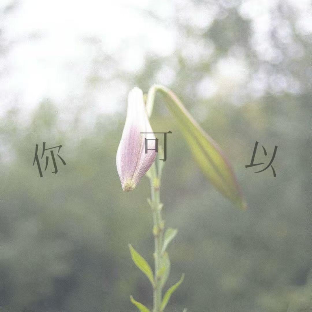 CAN YOU封面
