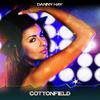 Danny Hay - Cottonfield (Dh Lounge Mix, 24 Bit Remastered)