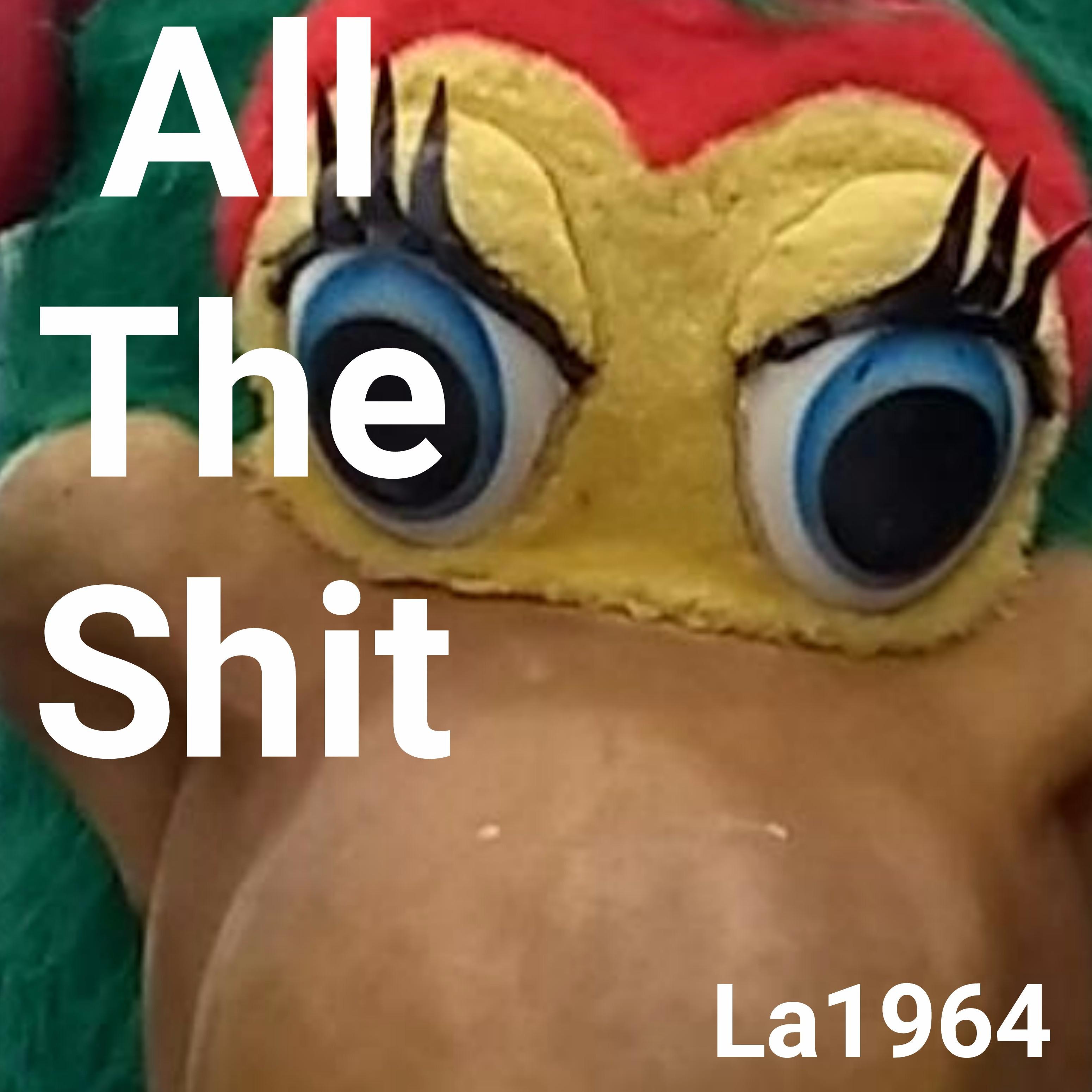 all the shit