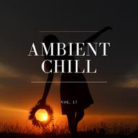 Ambient Chill, Vol. 17