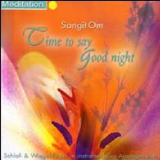 I Feel Sleepy, Don't Disturb Me_Sangit Om_Time to Say Good Night | 在线播放_I Feel Sleepy, Don't Disturb Me歌词_I Feel Sleepy, Don't Disturb Me下载 | 网易云音乐