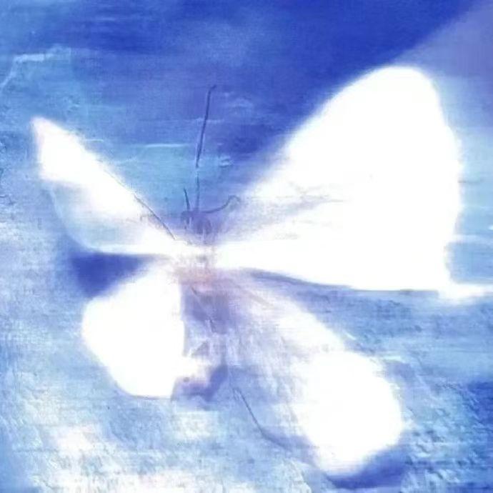 那天下雨就好了我们明明都没带伞