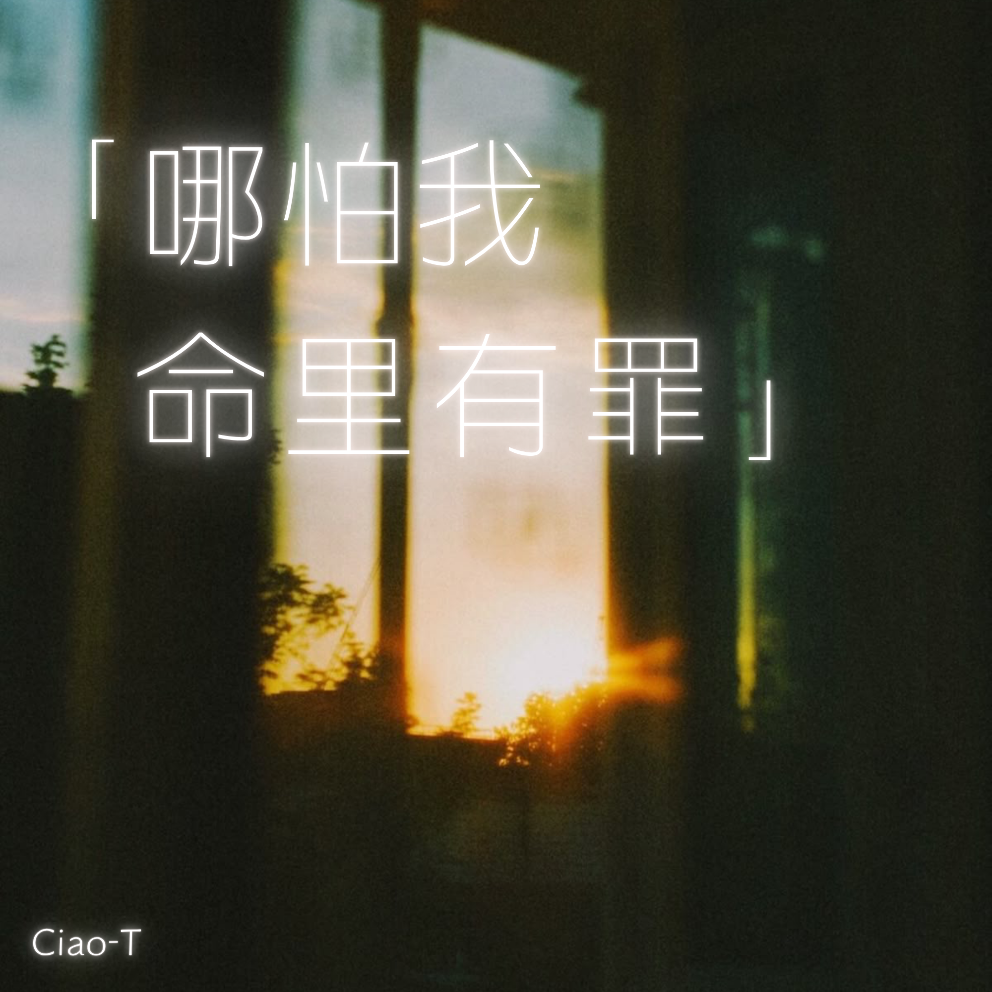 哪怕我命里有罪（沧桑版）封面