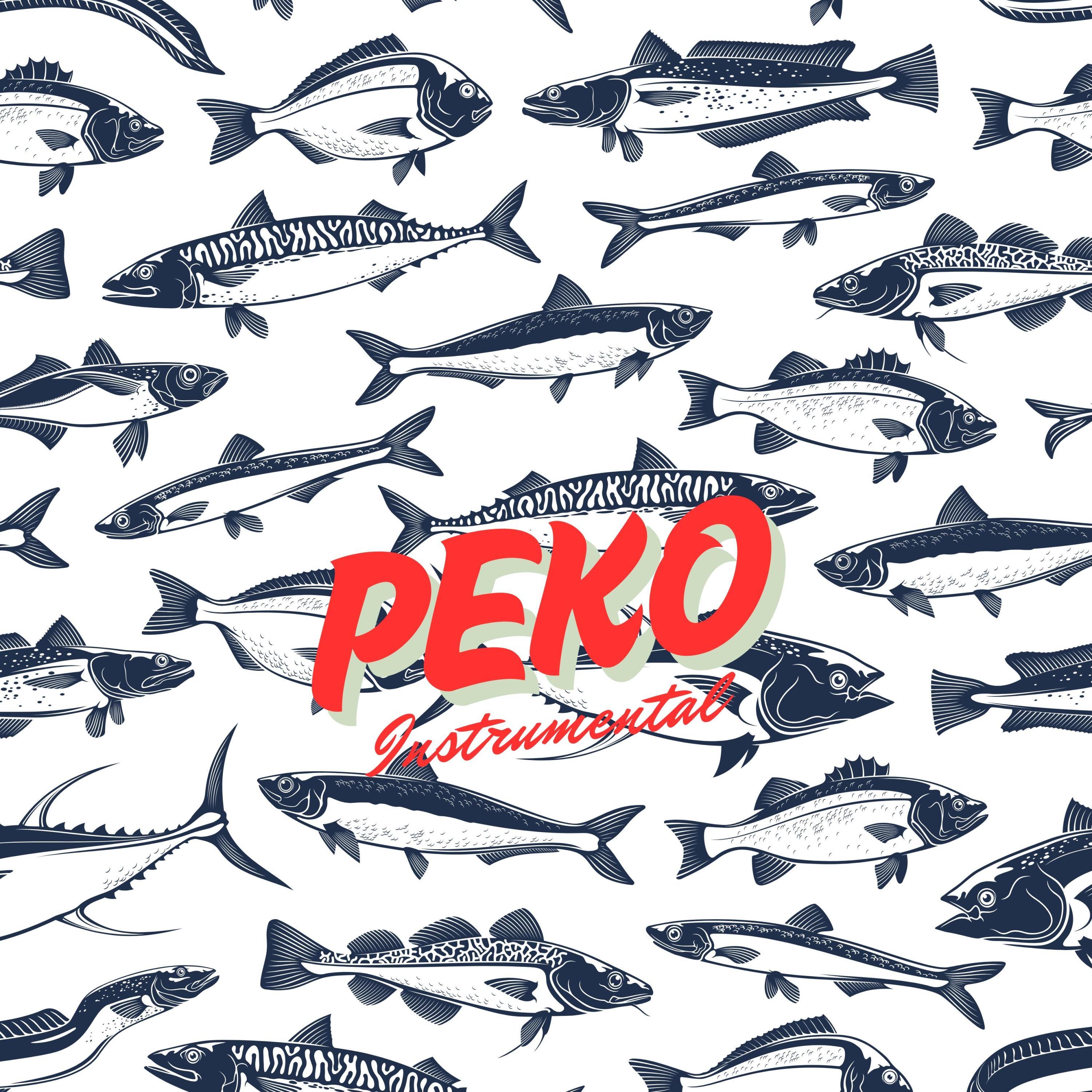 PEKO (Instrumental Version)