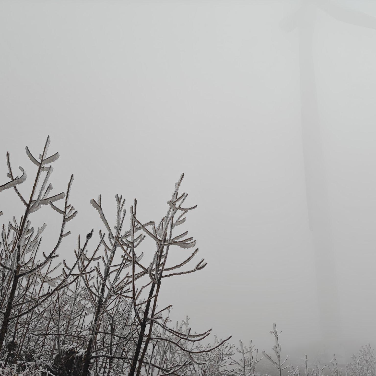 雪落高山封面