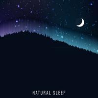 Natural Sleep – New Age Music for Relaxation, Rest, Sleep, Zen Lounge, Sleep Tunes, Calming Lullabies, Deep Harmony, Inner Silence, Nature Sounds