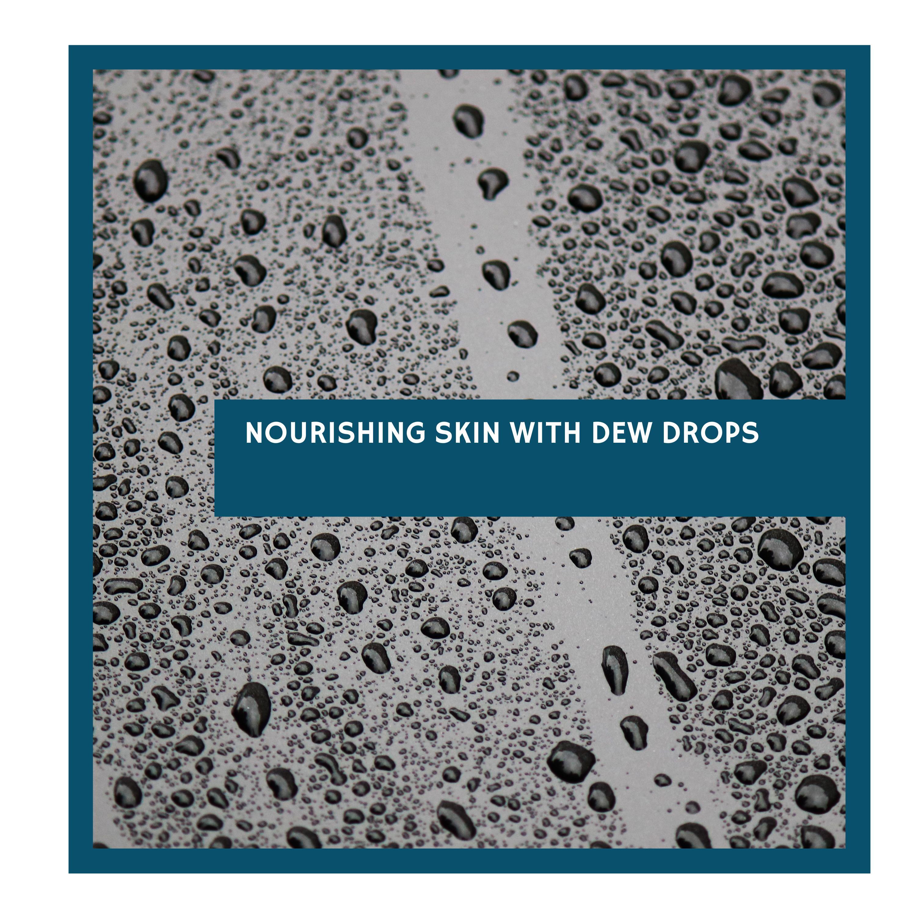 Lush Forest Ambience